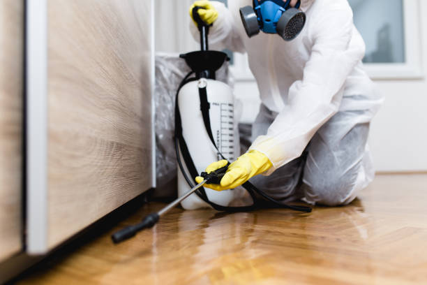 Best Commercial Pest Control Services  in Camp Croft, SC