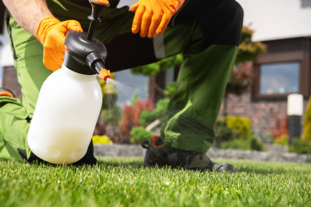 Best Emergency Pest Control  in Camp Croft, SC
