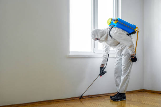 Best Pest Removal Services  in Camp Croft, SC