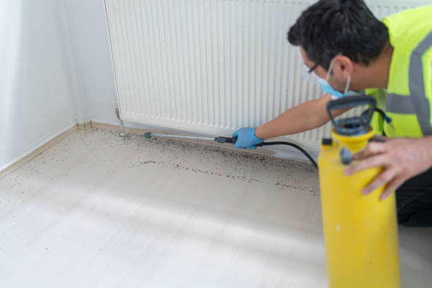 Best Wasp Removal Services  in Camp Croft, SC